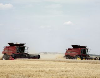 «Агропродсервіс» зібрав понад 100 тис. тонн ранніх зернових